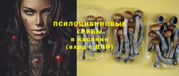 a pvp Абинск