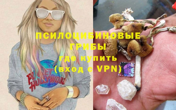 круглые Абаза