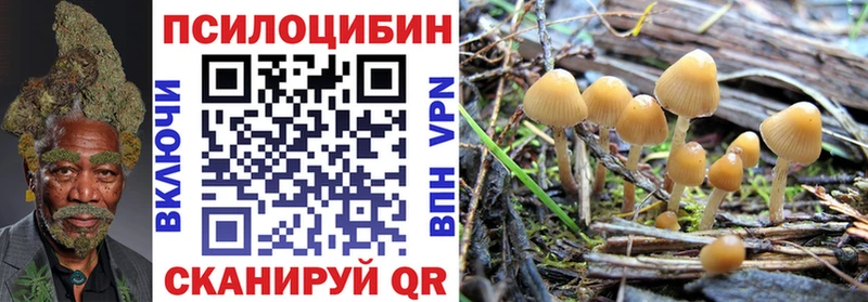 где найти   Серафимович  Псилоцибиновые грибы Magic Shrooms 